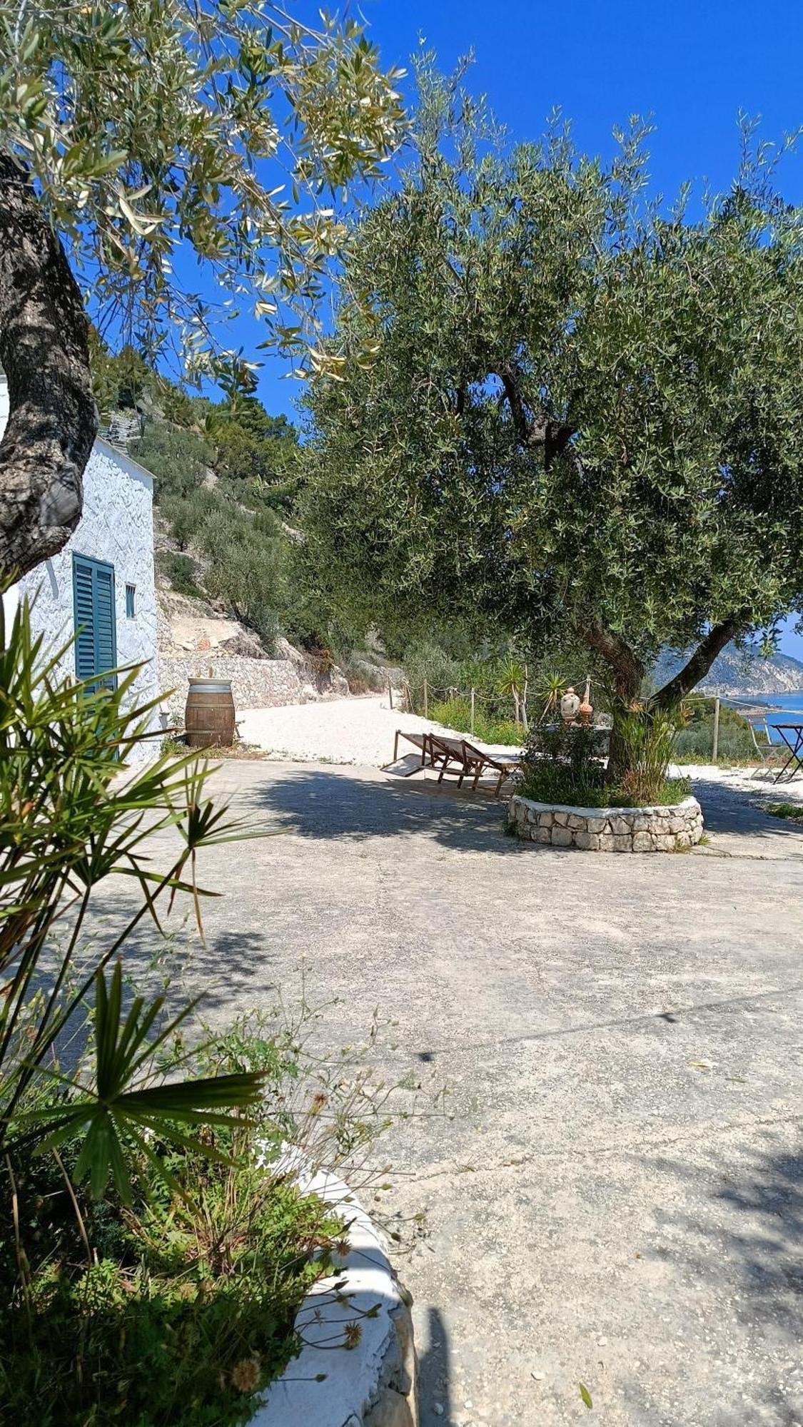 Villa Petra Bianca Charming House Mattinata Exterior foto